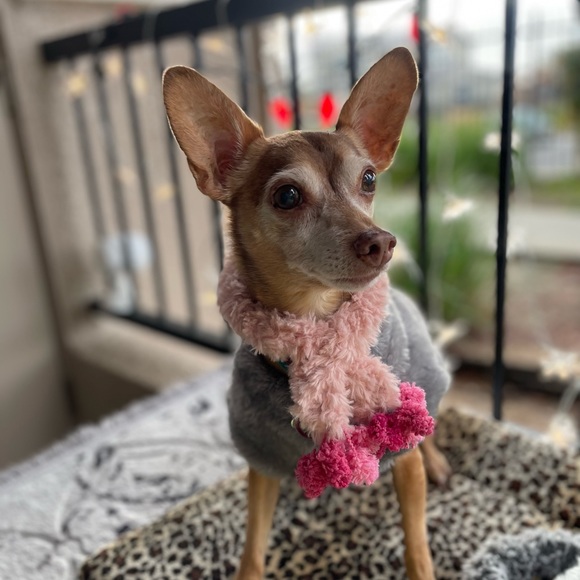 👋 Hi, I’m Ariel! Happy to be sharing fashion love - Picture 12 of 16